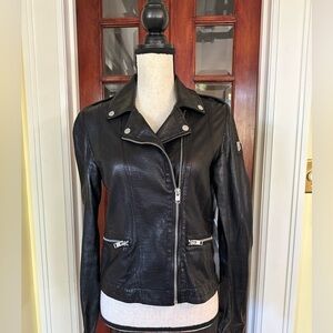 MAURITIUS | Hera Perforated Leather Moto Jacket in Black, Size 6